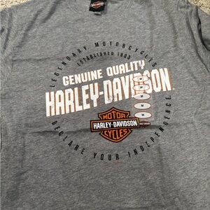 Harley-Davidson Gray Tee with Orange Accents